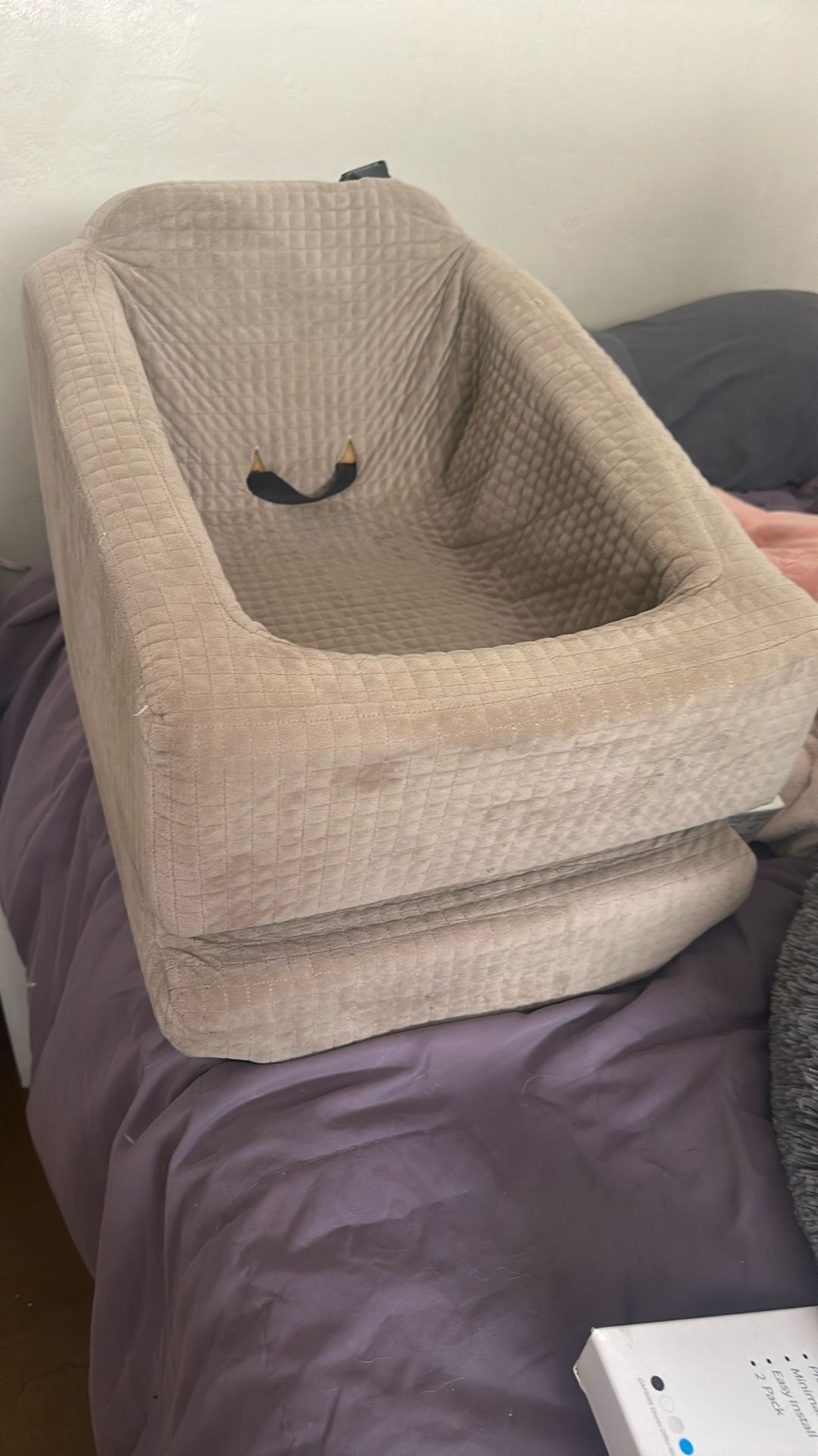 Dog Car Seat