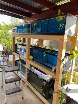 glass fish tanks