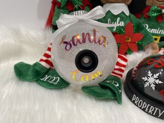 Santa cam