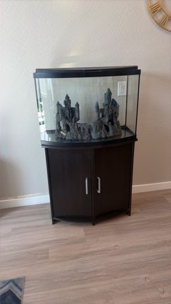 Fish tank