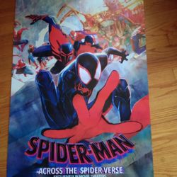 Spiderman Across The Spiderverse Movie Poster