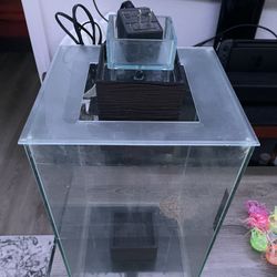 5 Gallon Fluval Chi