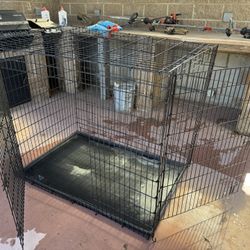 Dog Crate 