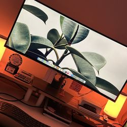 Dell 34” Monitor 