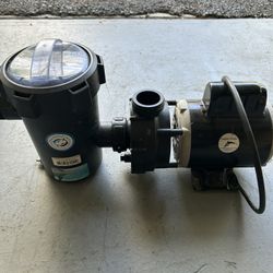 Pond Pump(Dolphin Pump – Model K55MYGRD-9025 – $300 