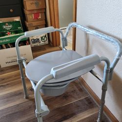 Potty seat fits over toilet