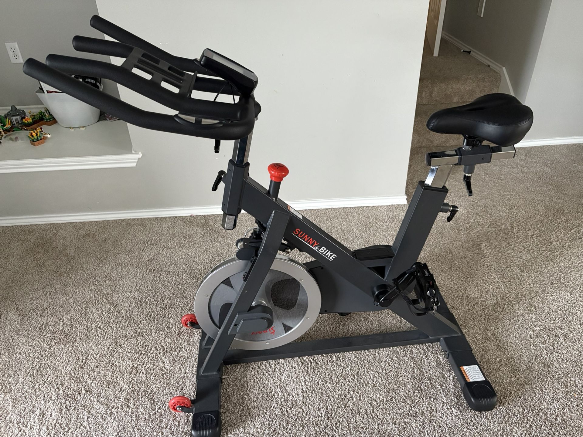 Sunny Exercise Bike