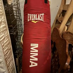 Punching Bag