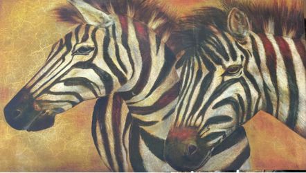 Zebra picture