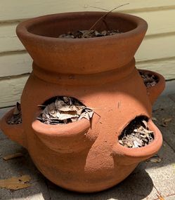 Terra-cotta pot