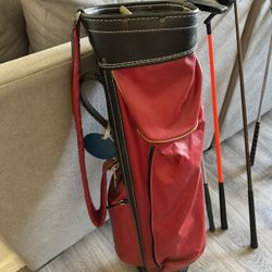 Vintage Golf Club Set with Bag + Golf Balls - $100