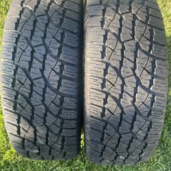 Wild Country XTX Tires