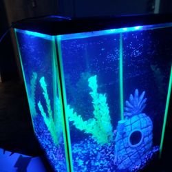 5 Gallon Fish Tank With Whole Set Up Included