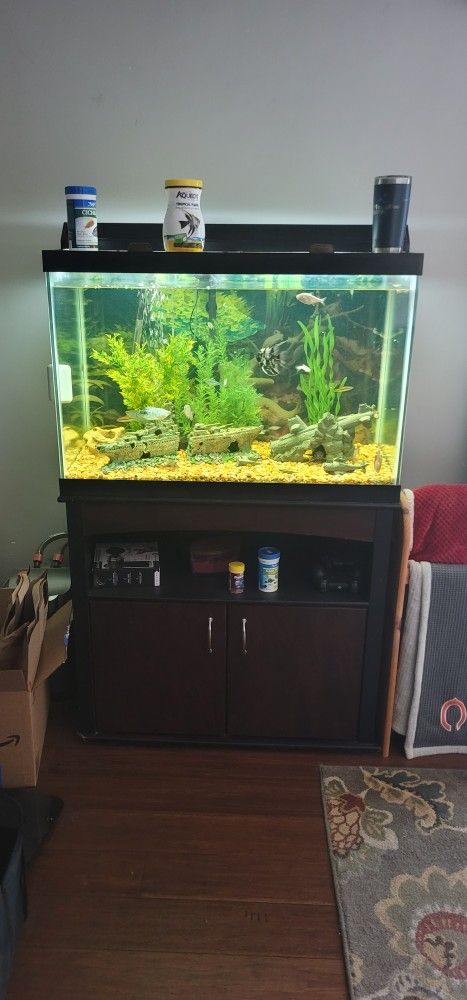 65 Gallion Tall Fish Tank And Extras