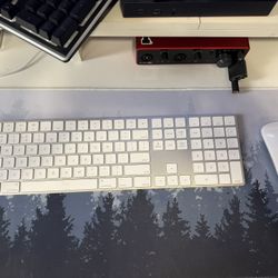 Apple Magic Keyboard W/ Numbers and Mouse 