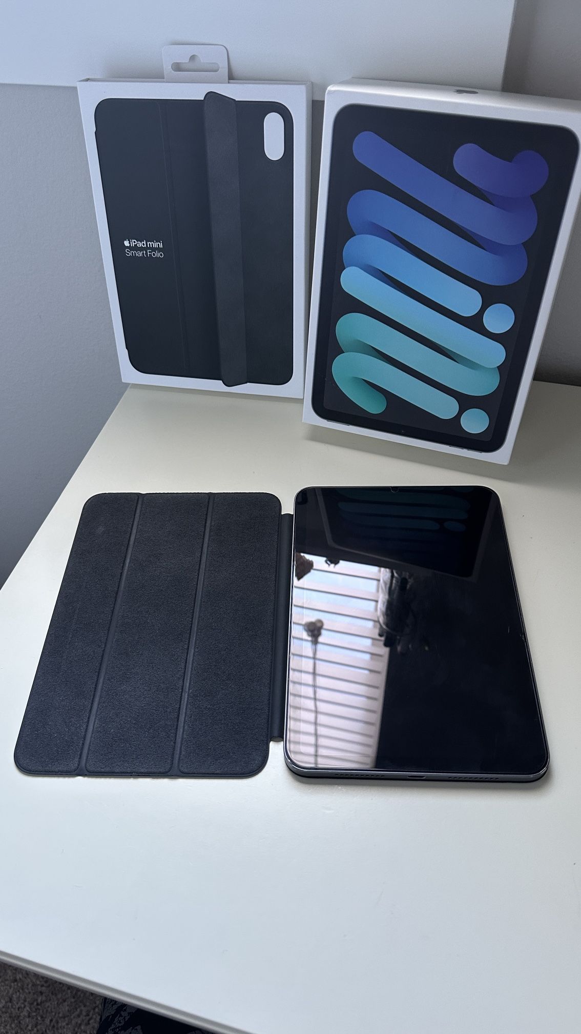 iPad Mini (6th Gen) Space Gray 256 GB