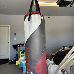 Boxing Bag 