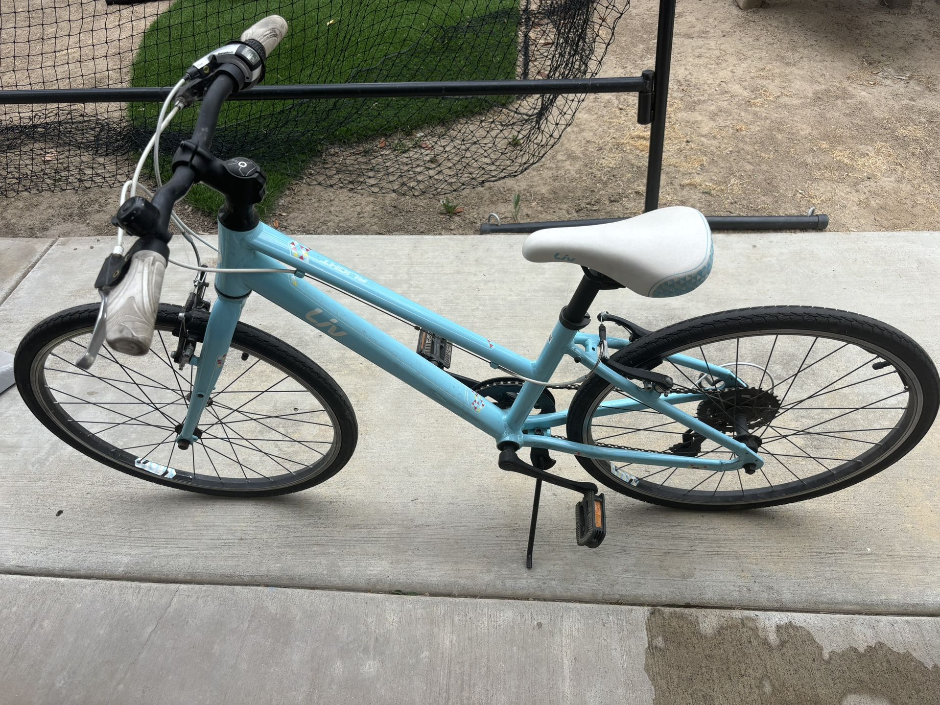 20” Girls Giant Bike.