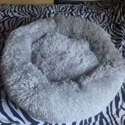Pet bed!!!