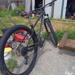 Specialized 29"