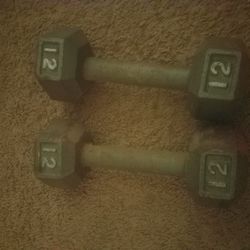 12lb Dumbbells Steel [Pair]