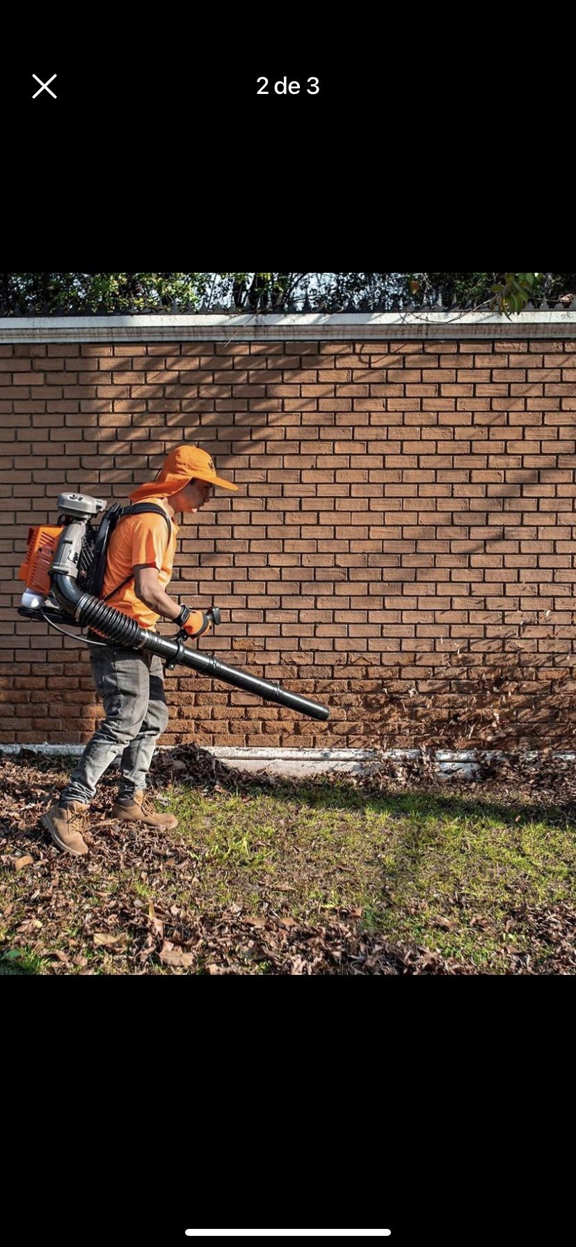 Leaf 🍃 Clean Up