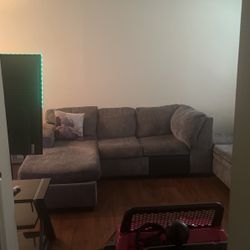 Sectional Grey Couch