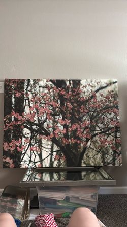 Pink Flowering Tree Canvas Wall Art