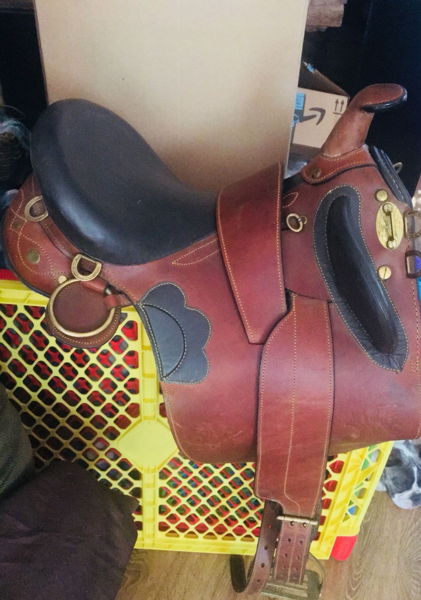 Australian Outrider Stock Poley Australian Saddle