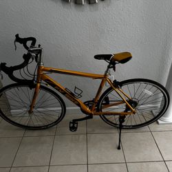 FV Bike . Frame In Aluminum. Rim 700X25 . Good Tires . Good Condition. 