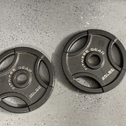 25LB WEIGHT PLATES
