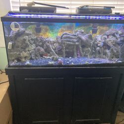 55 Gallon Fish tank /Stand /Full Set Up