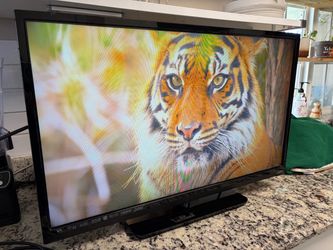 Vizio Flat Screen LCD TV