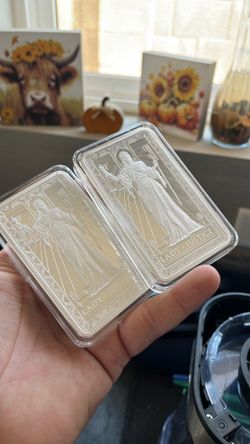 20 oz of silver