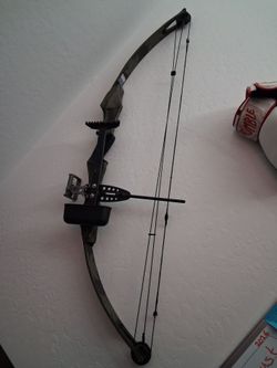 Compound Bow with Sight and Arrow Rest
