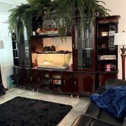 Entertainment Center
