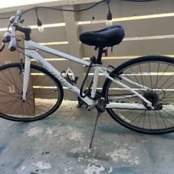 Specialized Bike 