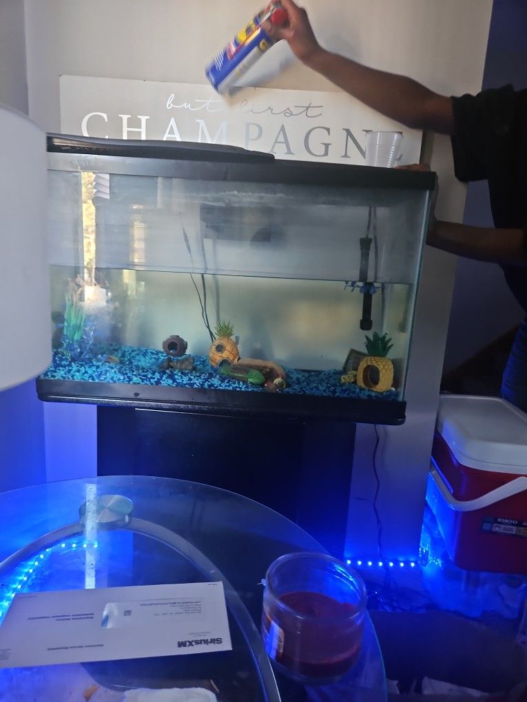 Fish Tank