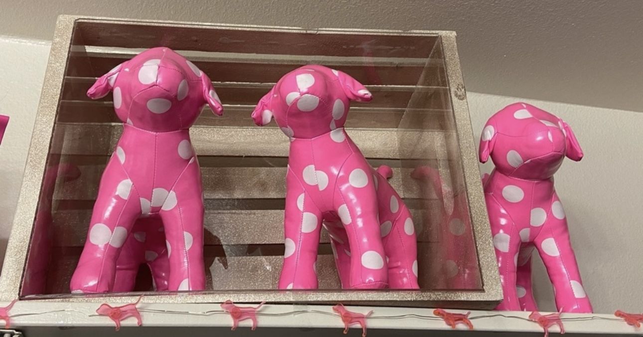 Vs Pink Bus Dog