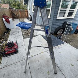 ladder with holding platform 