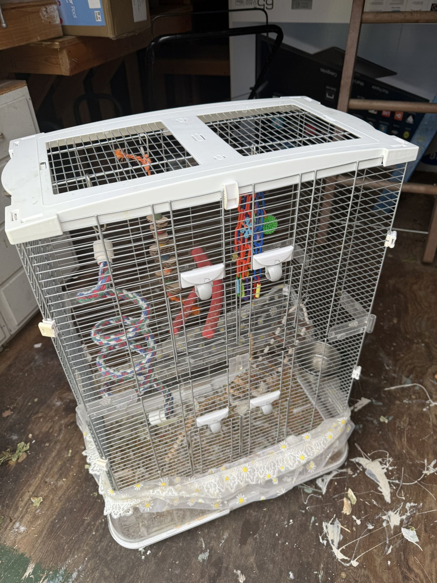 Bird Cage 