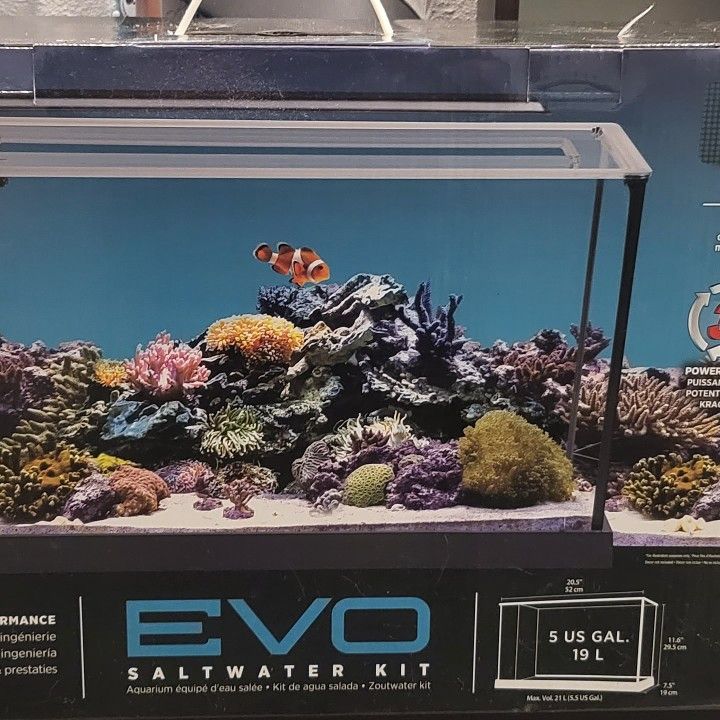 Fluval Sea Evo V Saltwater Fish Tank Aquarium Kit, Black for Sale in  Shoreline, WA - OfferUp