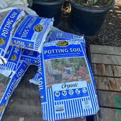 Potting Soil