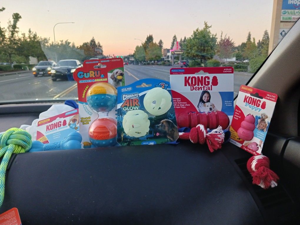 Kong And Other Assorted Dog Toys