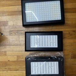 Free Grow Lights
