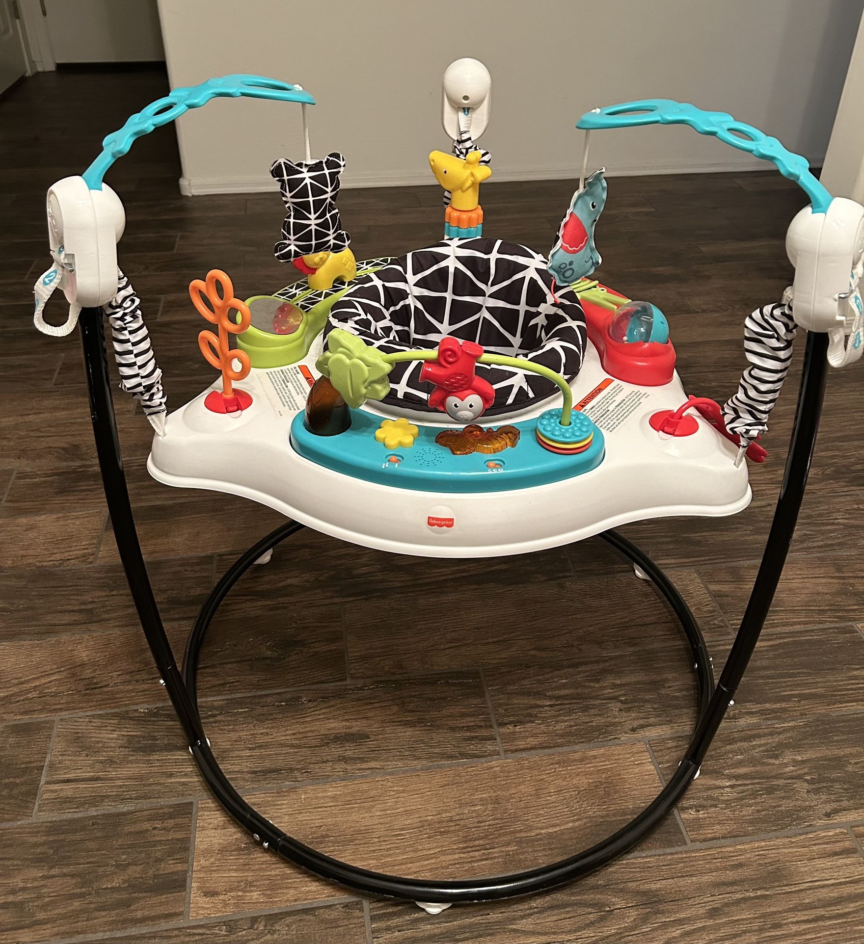 Fisher Price Baby Bouncer
