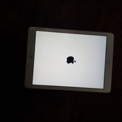 Apple Ipad