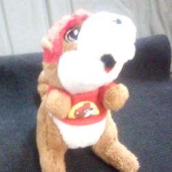 BUC-EES * BUCKY BEAVER KEYCHAIN * CLEAN 
