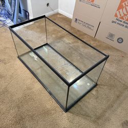 Fish Tank