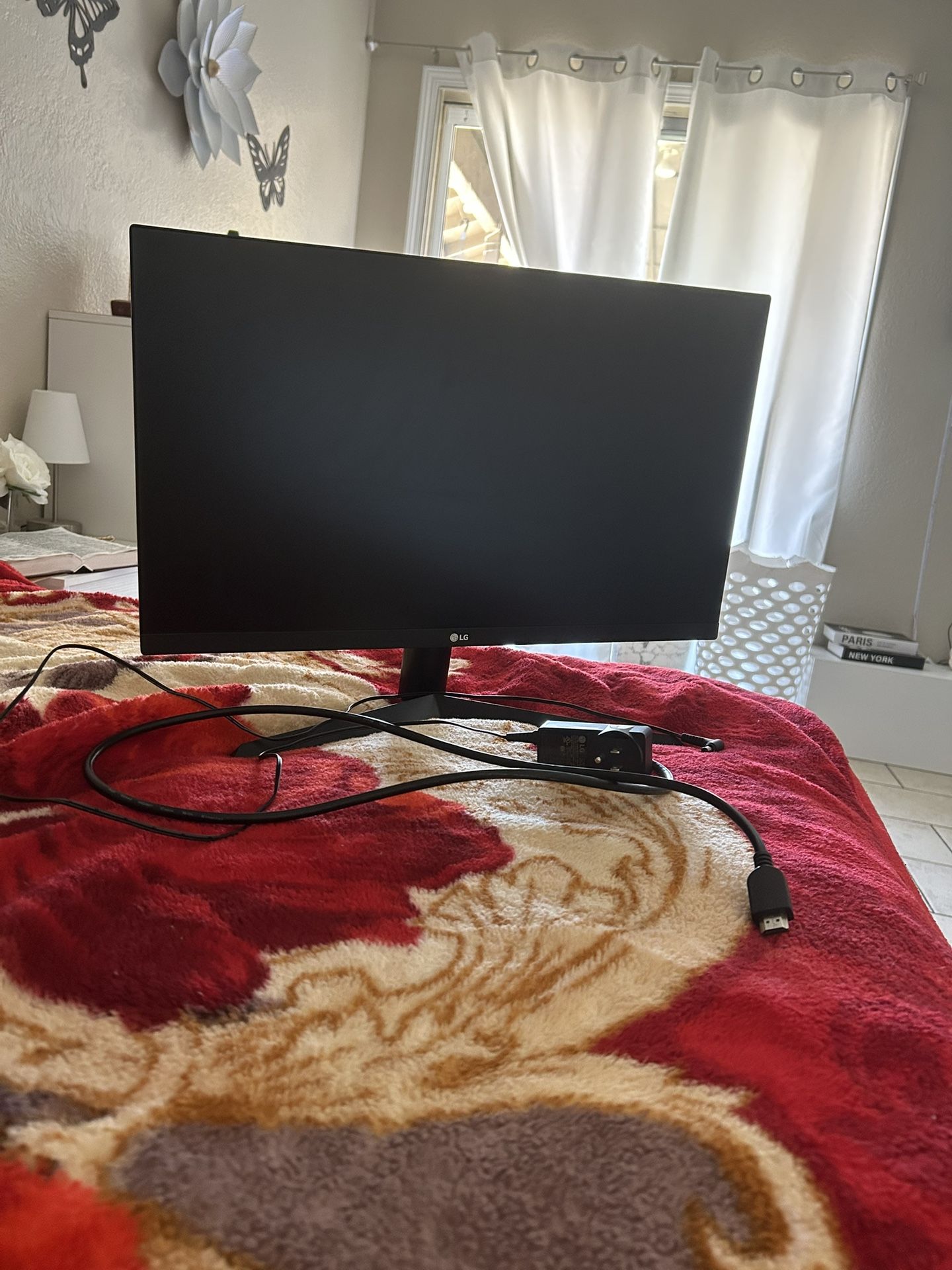 Pc Monitor LG